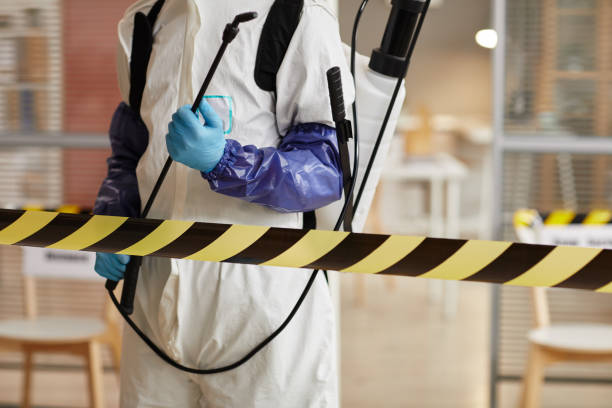 Professional Sewage Cleanup technician working in Arpin, WI